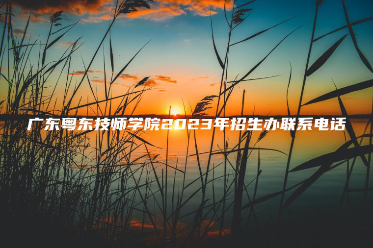 广东粤东技师学院2023年招生办联系电话